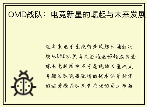 OMD战队：电竞新星的崛起与未来发展