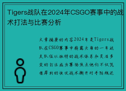 Tigers战队在2024年CSGO赛事中的战术打法与比赛分析