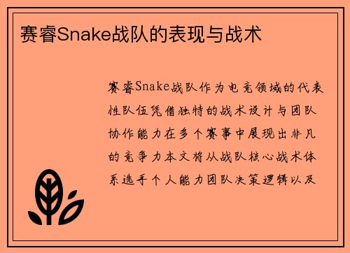 赛睿Snake战队的表现与战术